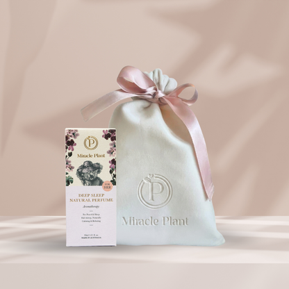Elegant Velvet Gift Bag